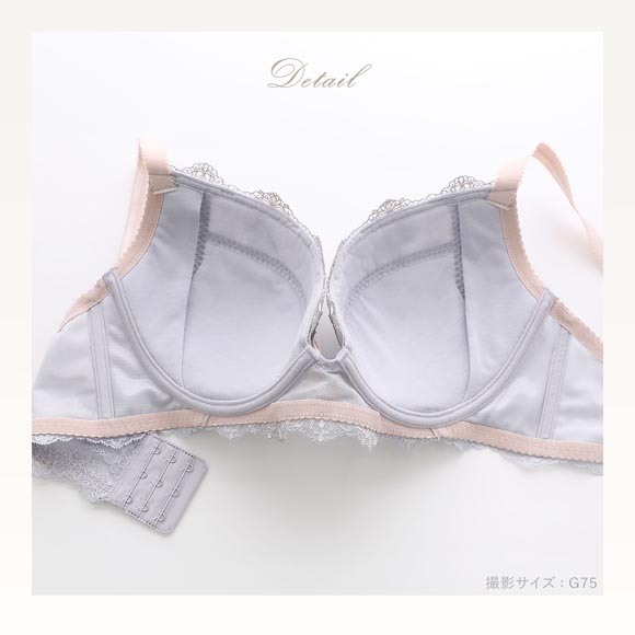 リサマリ レーヌ カタリーナ ブラジャー V Make Type GH 大きいサイズ Risa Magli Reine