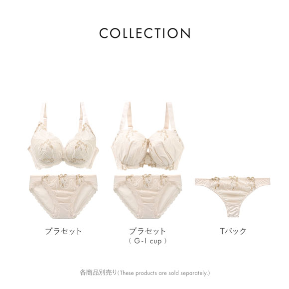 ビーオーエヌ 脇スッキリバストメイクブラ エレガントライン シリーズ ショーツ Tバック M L LL 大きいサイズ bon