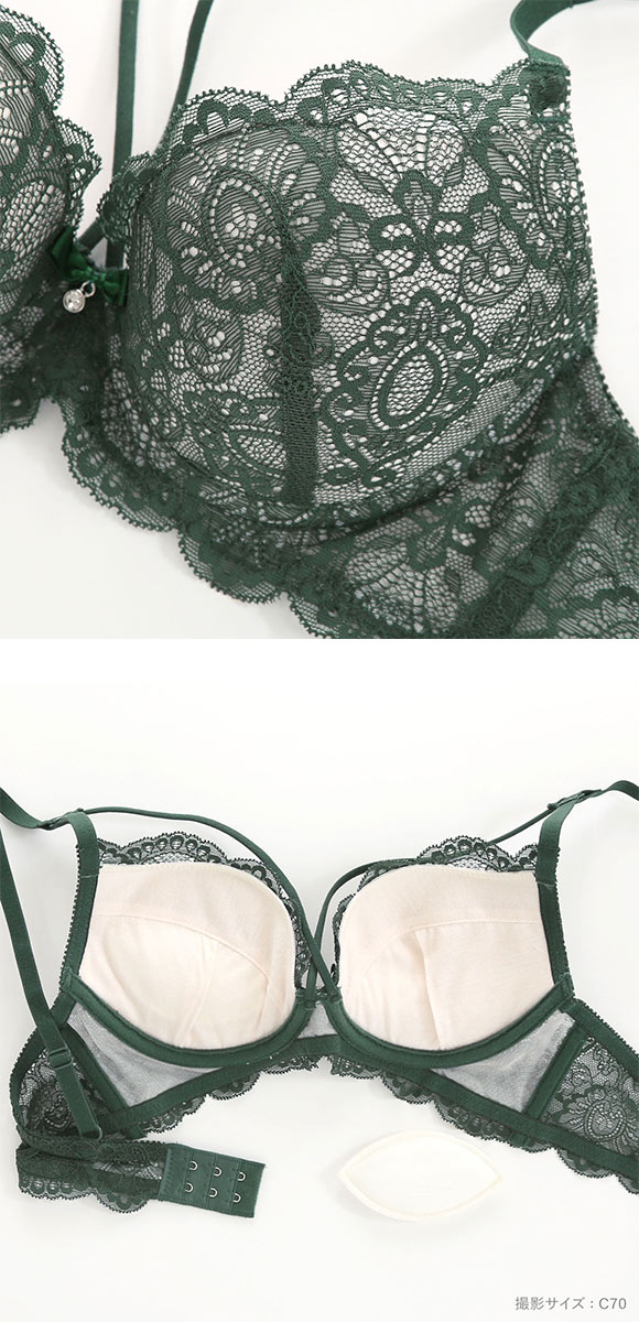 オールレース ヌーディーコード ブラジャー ショーツ セット BCDEF 大きいサイズ バックレース 総レース