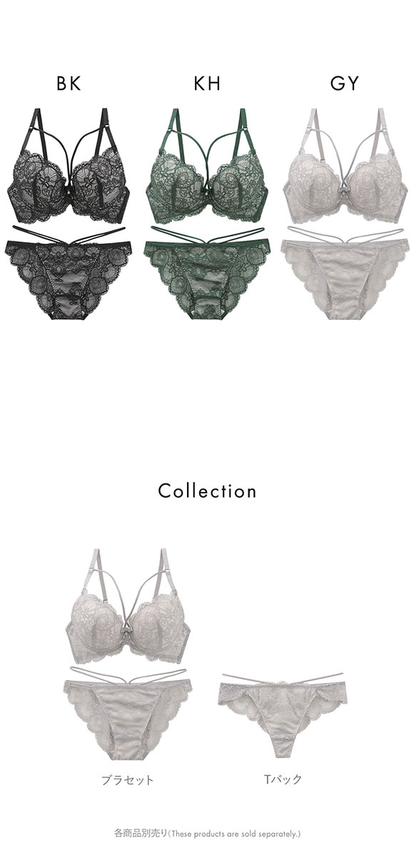 オールレース ヌーディーコード ブラジャー ショーツ セット BCDEF 大きいサイズ バックレース 総レース