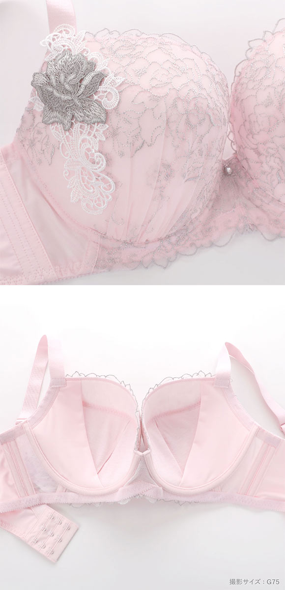 ビーオーエヌ 美胸 脇寄せ バストメイクブラ 大輪のバラ シリーズ ブラジャー ショーツ セット GHI 脇すっきり グラマー bon