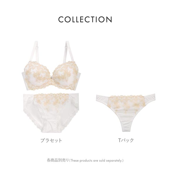 ビーオーエヌ 美胸 脇寄せ バストメイクブラ ボタニカルノーブル シリーズ ブラジャー ショーツ セット BCDEF 脇高 脇肉 bon