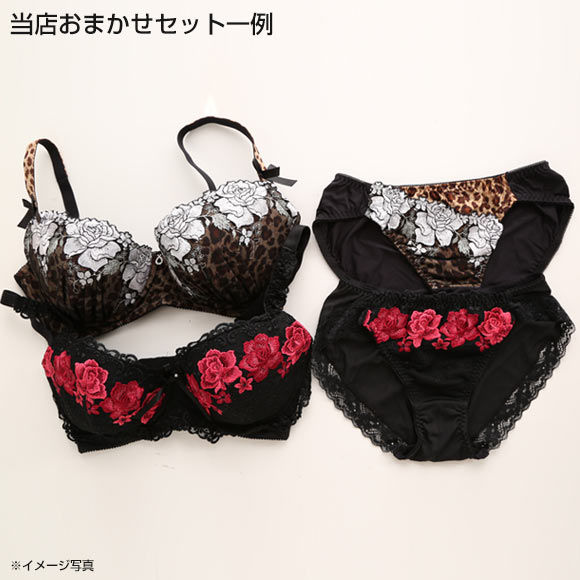 ビーオーエヌ bon グラマーサイズ ブラジャー＆ショーツ お得2本セット GHI