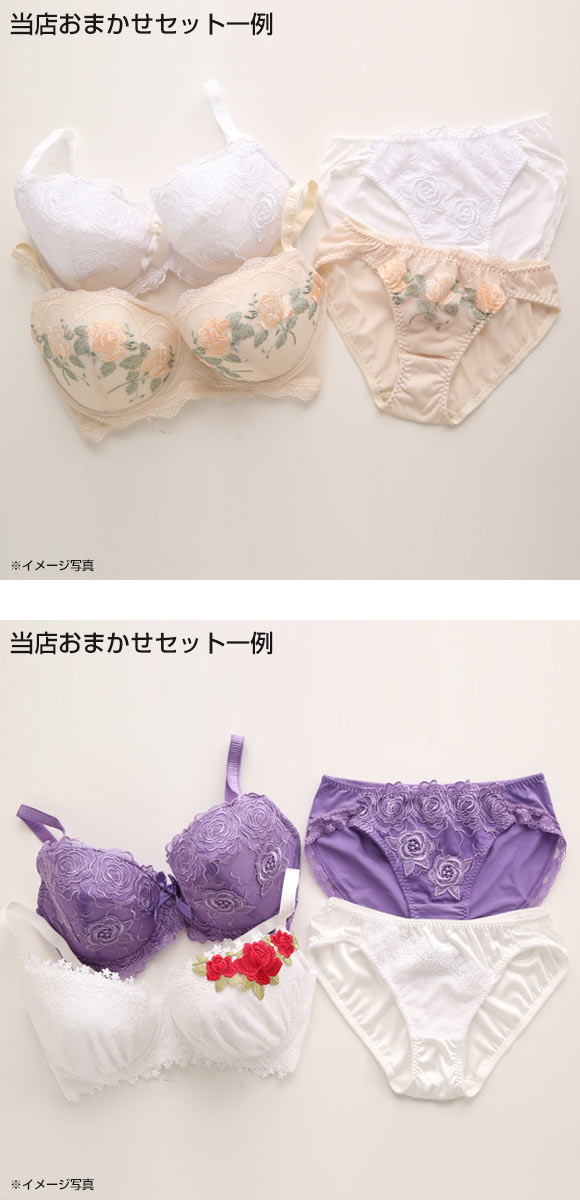 ビーオーエヌ bon グラマーサイズ ブラジャー＆ショーツ お得2本セット GHI
