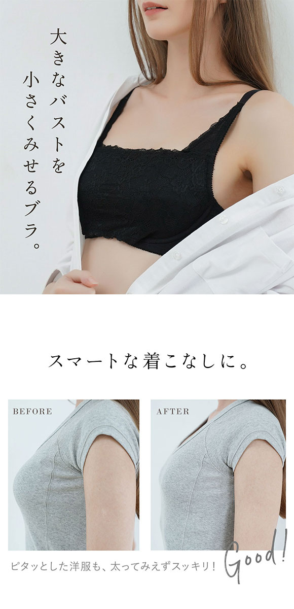 パリーゼ Palissee 大きな胸を小さく見せるブラ 脇高 脇肉 胸元カバー ブラジャー GH 総レース 大きいサイズ