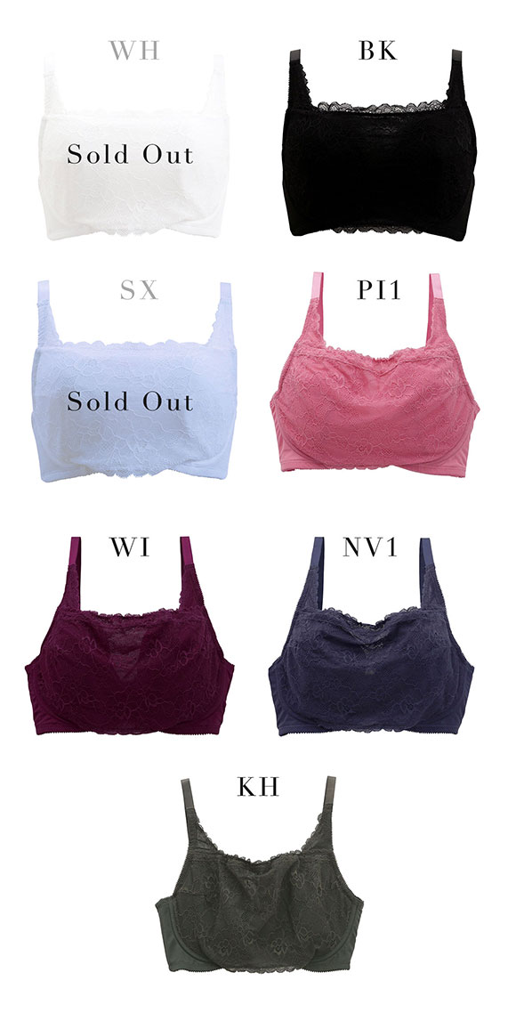 パリーゼ Palissee 大きな胸を小さく見せるブラ 脇高 脇肉 胸元カバー ブラジャー GH 総レース 大きいサイズ