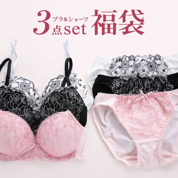 パリーゼ Palissee 福袋 ノンワイヤー ブラジャー ショーツ セット 3点セット おまかせ 刺繍レース M L LL