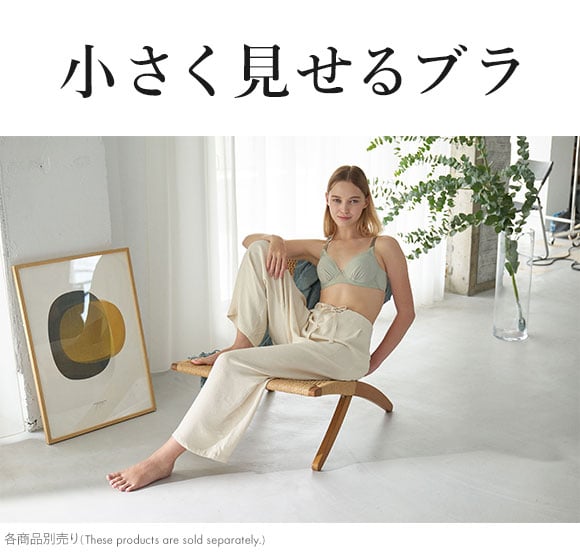 ワコール Wacoal 小さく見せるブラ シンプル BRB452 3/4カップ ブラジャー DEF 単品