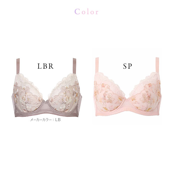 ワコール Wacoal 小さく見せるブラ BRB453 クイーンサイズ 3/4カップ ブラジャー DEF 単品