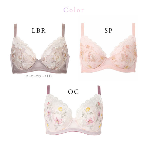 ワコール Wacoal 小さく見せるブラ BRB453 クイーンサイズ 3/4カップ ブラジャー DEF 単品