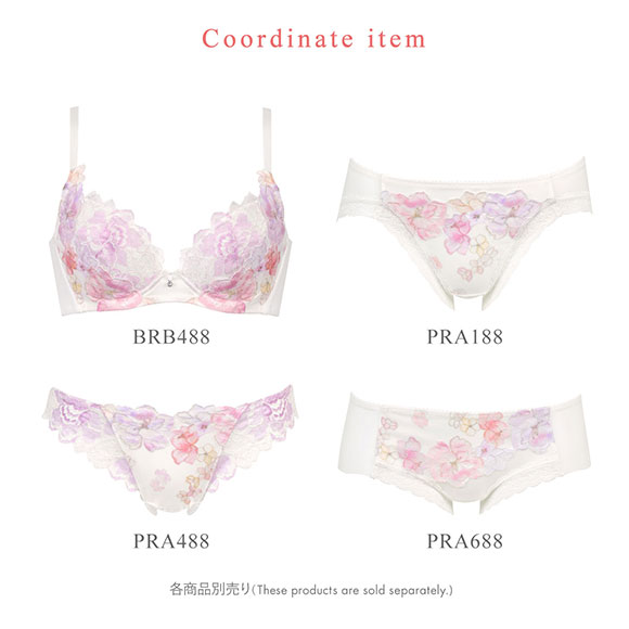 ワコール Wacoal ハグするブラ BRB488 ブラジャー DEF 単品