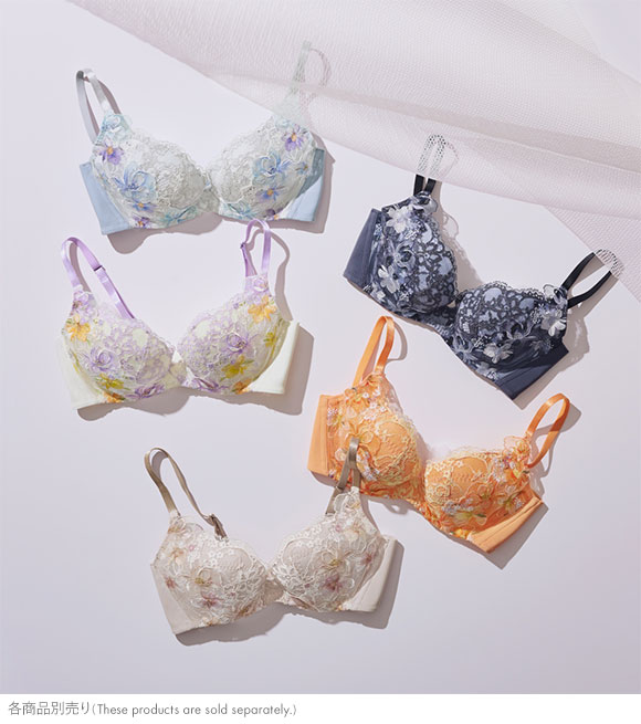 ワコール Wacoal ハグするブラ BRB498 ブラジャー DEF 単品