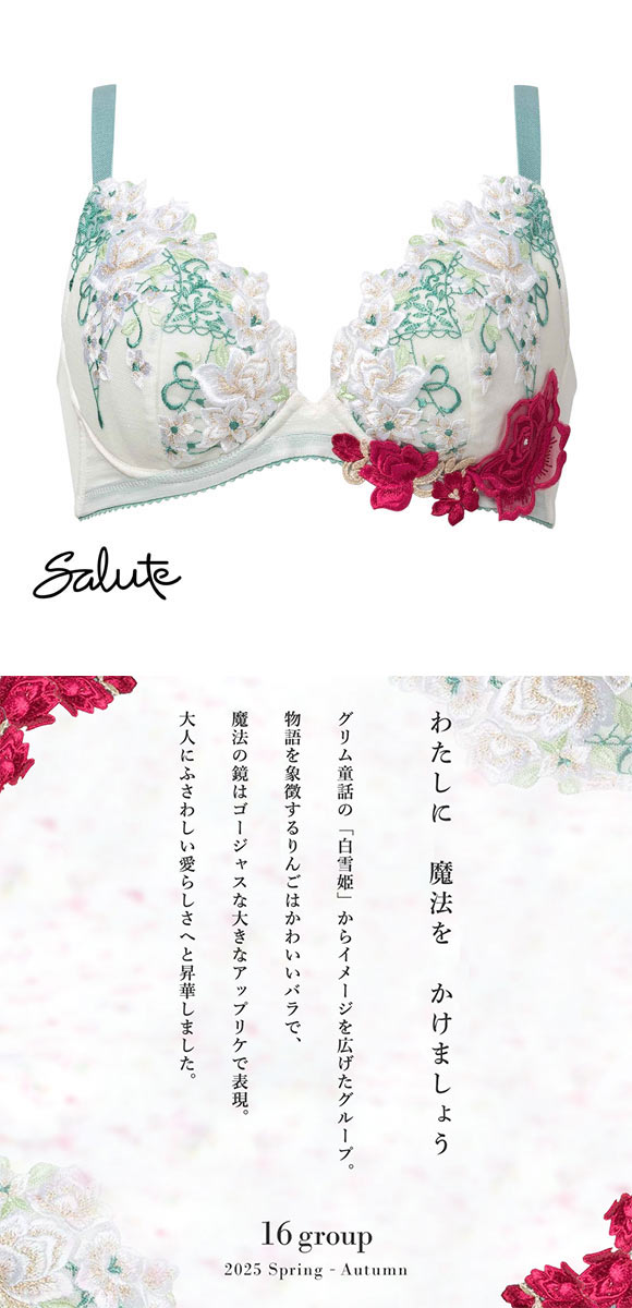 ワコール サルート 16グループ 16G 小さく見せるブラ GH ブラジャー フルカップ 大きいサイズ Wacoal Salute BTJ216 25SSシーズン
