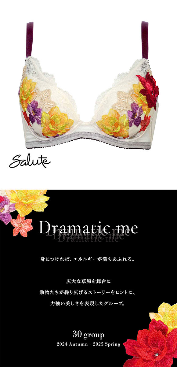 ワコール Wacoal サルート Salute 30G 小さく見せるブラ GH