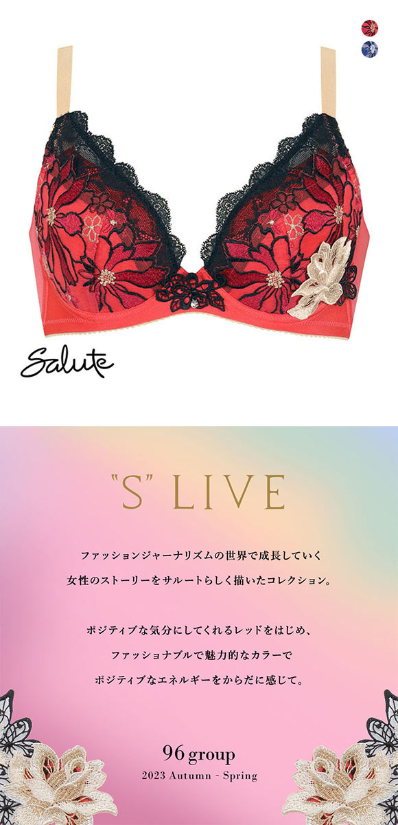 ワコール Wacoal サルート Salute 23AW 96G BTJ296 小さく見せるブラ GH ブラジャー フルカップ 単品 シーズン