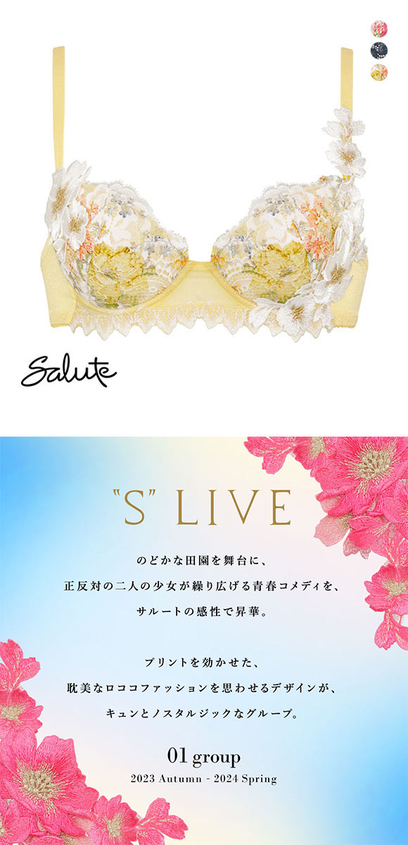 ワコール Wacoal サルート Salute 24SS先行 01G BTJ401 P-UP ブラジャー DEF プッシュアップ 単品 コア