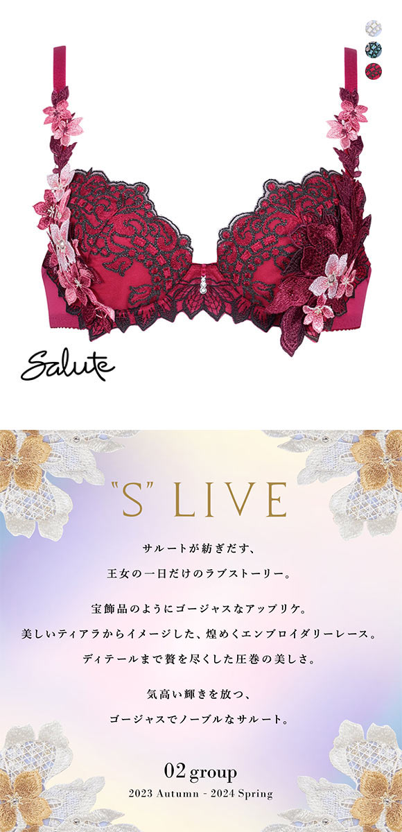 ワコール Wacoal サルート Salute 24SS先行 02G BTJ402 P-UP