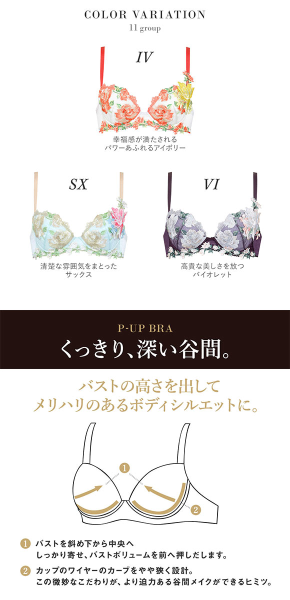 ワコール Wacoal サルート Salute 11G BTJ411 P-UP ブラジャー DEF プッシュアップ 谷間 大きいサイズ 単品 24AW先行 コア