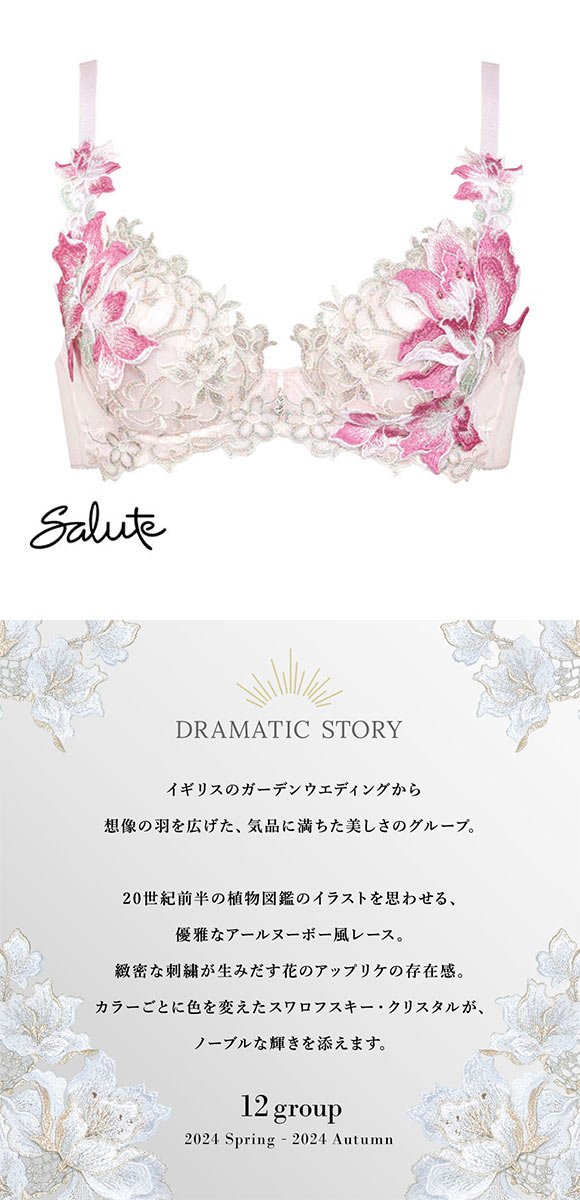 ワコール Wacoal サルート Salute 12G BTJ412 P-UP ブラジャー GHI プッシュアップ 谷間 単品 24AW先行 プレステージ