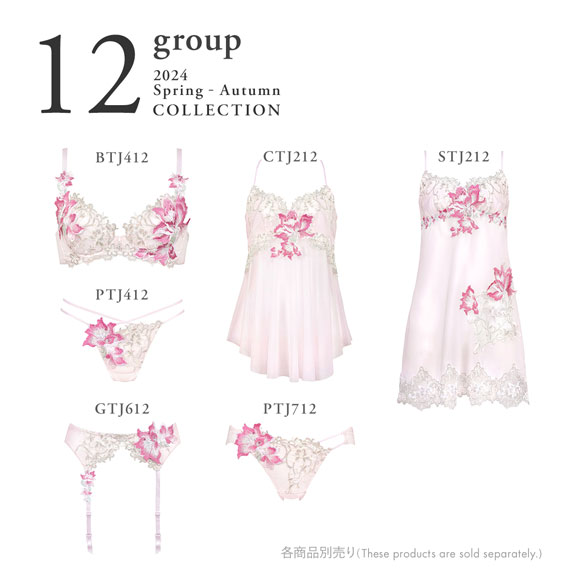 ワコール Wacoal サルート Salute 12G BTJ412 P-UP ブラジャー GHI プッシュアップ 谷間 単品 24AW先行 プレステージ