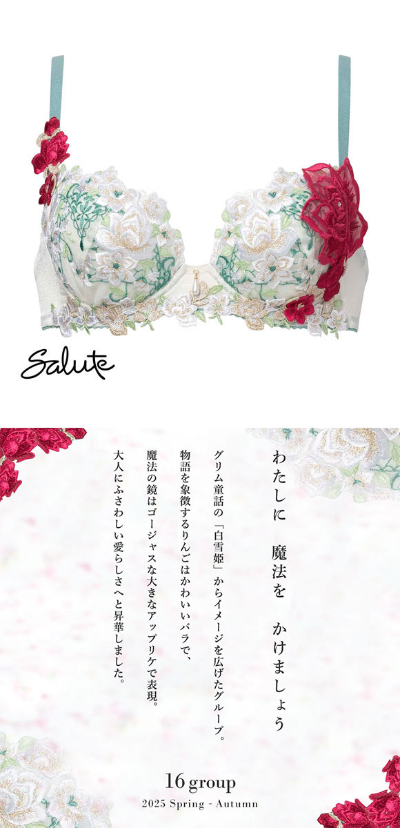 ワコール サルート 16グループ 16G P-UP ブラジャー プッシュアップ GHI 谷間 大きいサイズ Wacoal Salute BTJ416 25SSシーズン