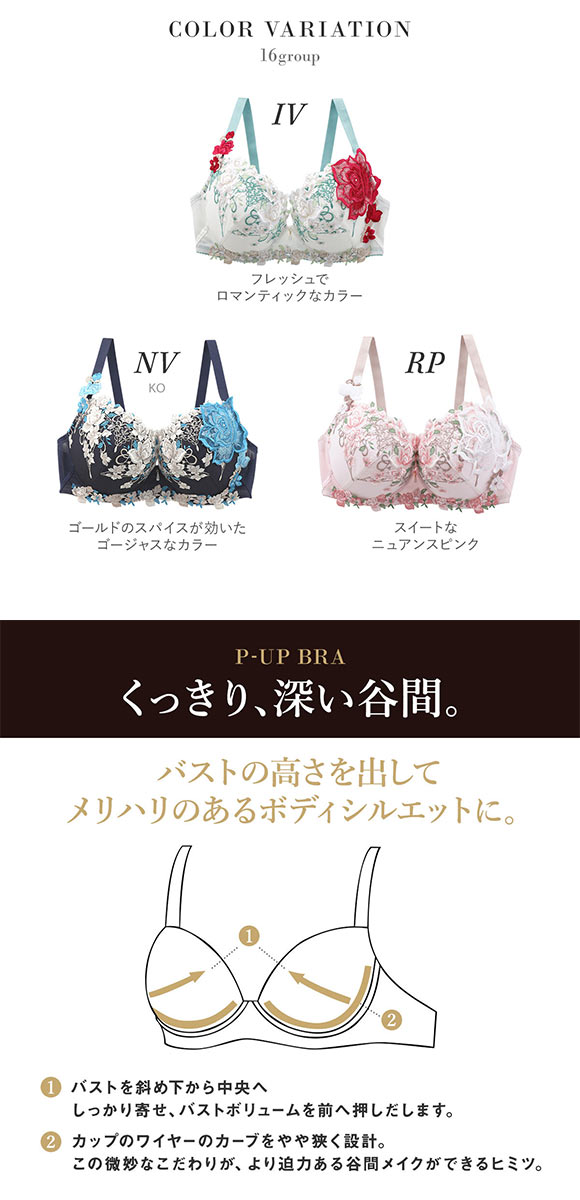 ワコール サルート 16グループ 16G P-UP ブラジャー プッシュアップ GHI 谷間 大きいサイズ Wacoal Salute BTJ416 25SSシーズン