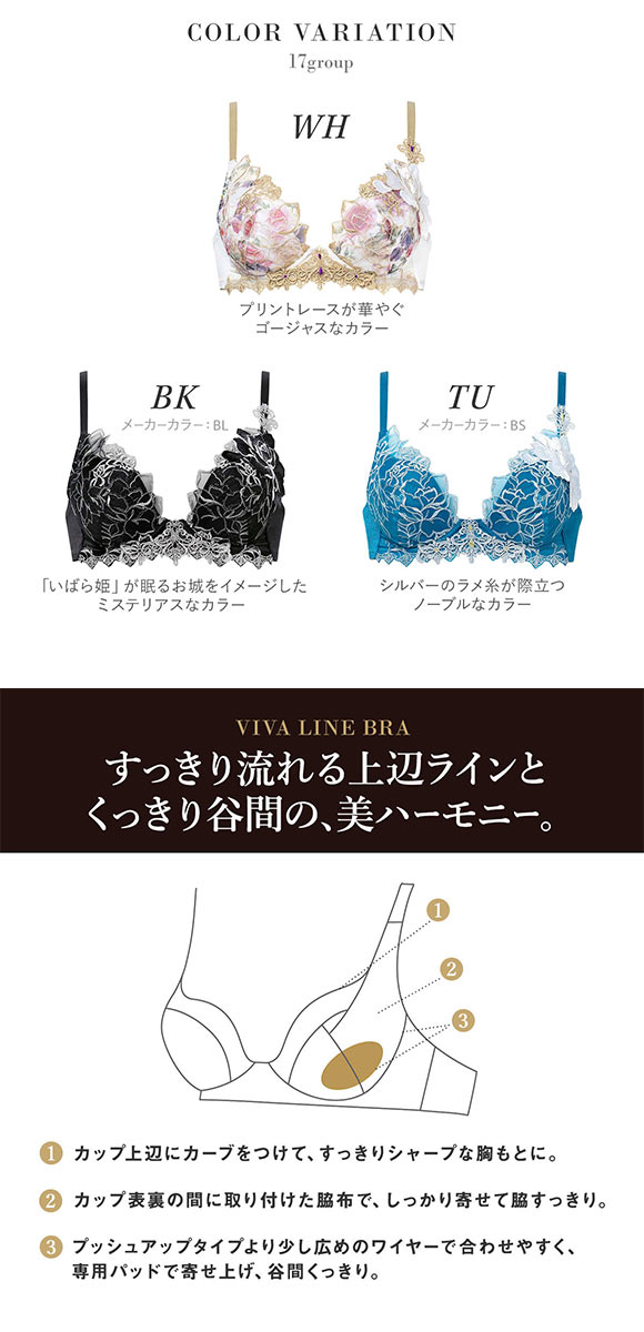 ワコール サルート 17グループ 17G VIVA LINE ブラジャー BC ビバライン 谷間 Wacoal Salute BTJ417 25SSブルーム