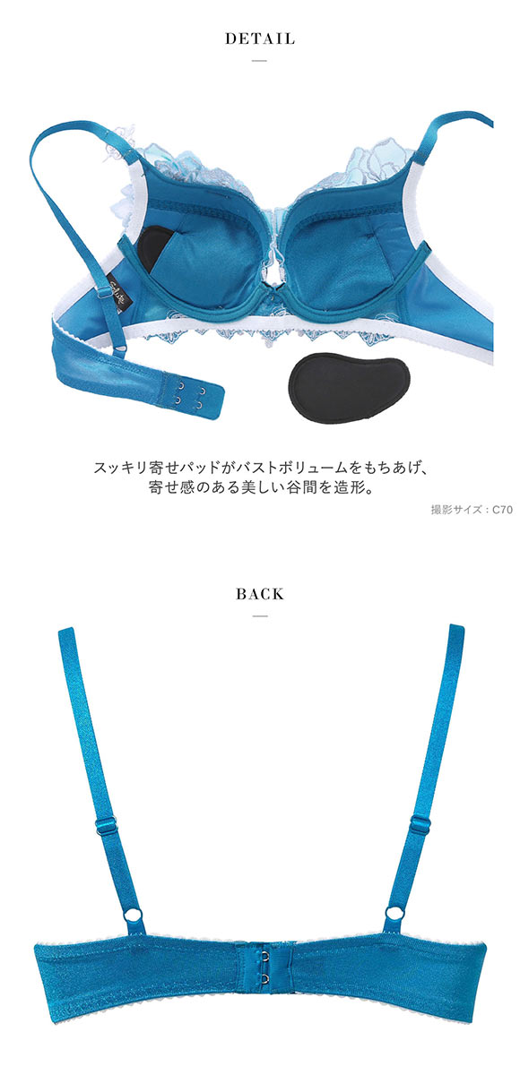 ワコール サルート 17グループ 17G VIVA LINE ブラジャー DEF ビバライン 谷間 Wacoal Salute BTJ417 25SSブルーム