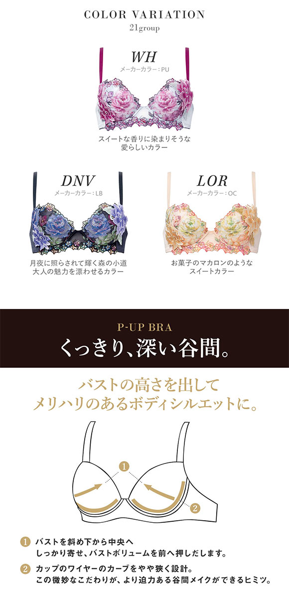 ワコール サルート 21グループ 21G P-UP ブラジャー プッシュアップ  