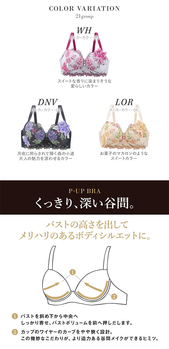 ワコール サルート 21グループ 21G P-UP ブラジャー プッシュアップ GHI 大きいサイズ 谷間 Wacoal Salute BTJ421 25AW先行コア