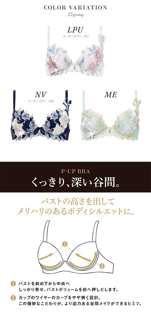 ワコール サルート 22グループ 22G P-UP ブラジャー C プッシュアップ 谷間 Wacoal Salute BTJ422 25AW先行プレステージ