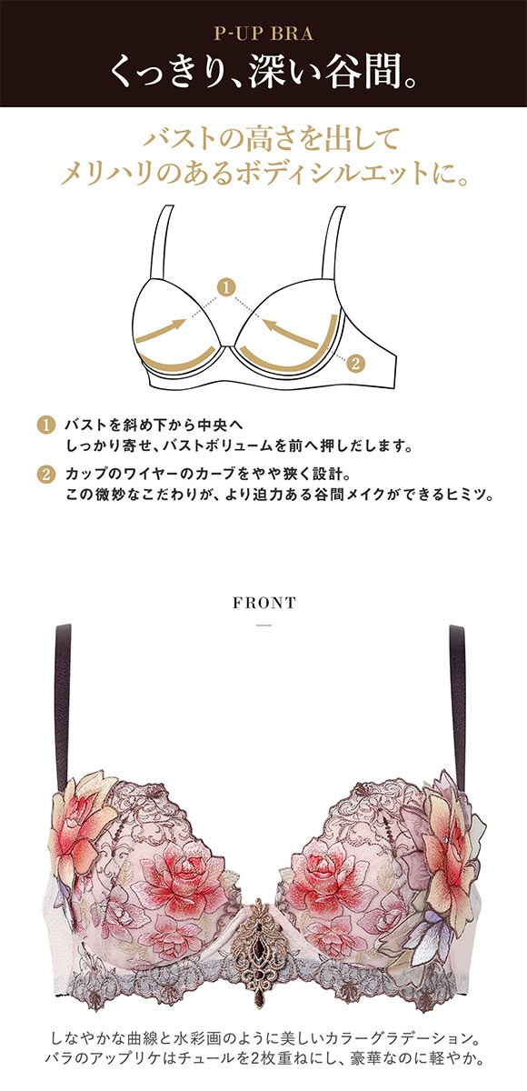 ワコール サルート 23グループ 23G P-UP ブラジャー DEF プッシュ