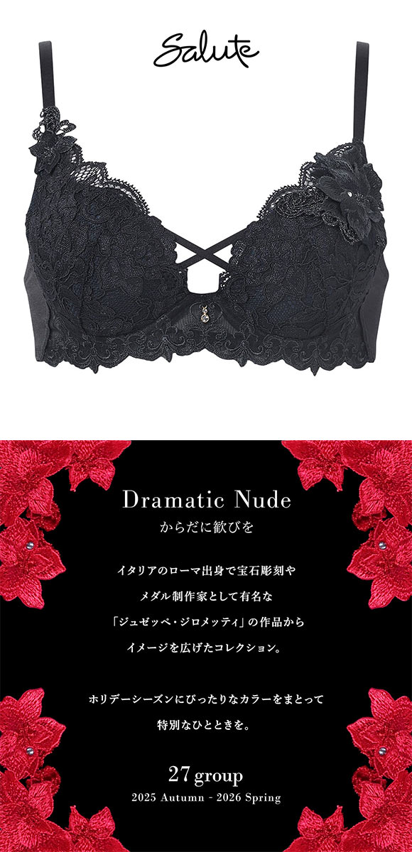 ワコール サルート 27グループ 27G VIVA LINE ブラジャー BC