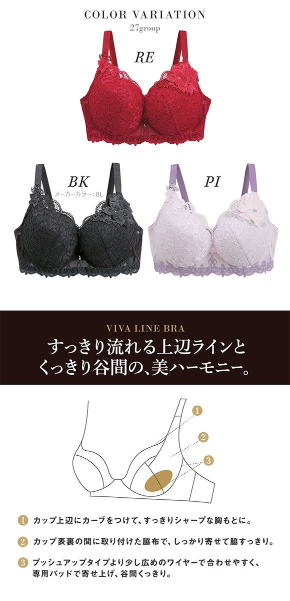 ワコール サルート 27グループ 27G VIVA LINE ブラジャー G ビバライン 谷間 Wacoal Salute BTJ427 25AWブルーム 大きいサイズ