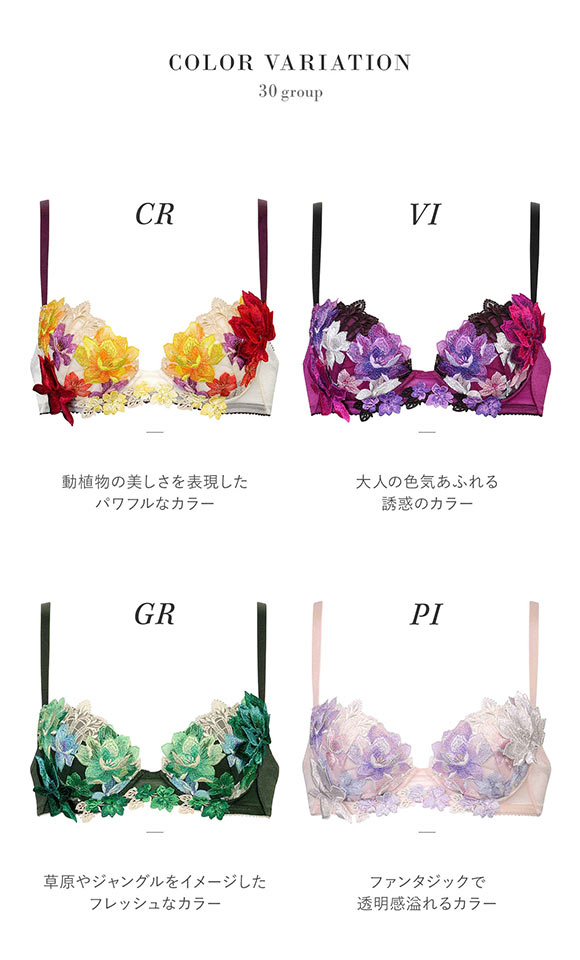 ワコール Wacoal サルート Salute 30G P-UP ブラジャー DEF プッシュ