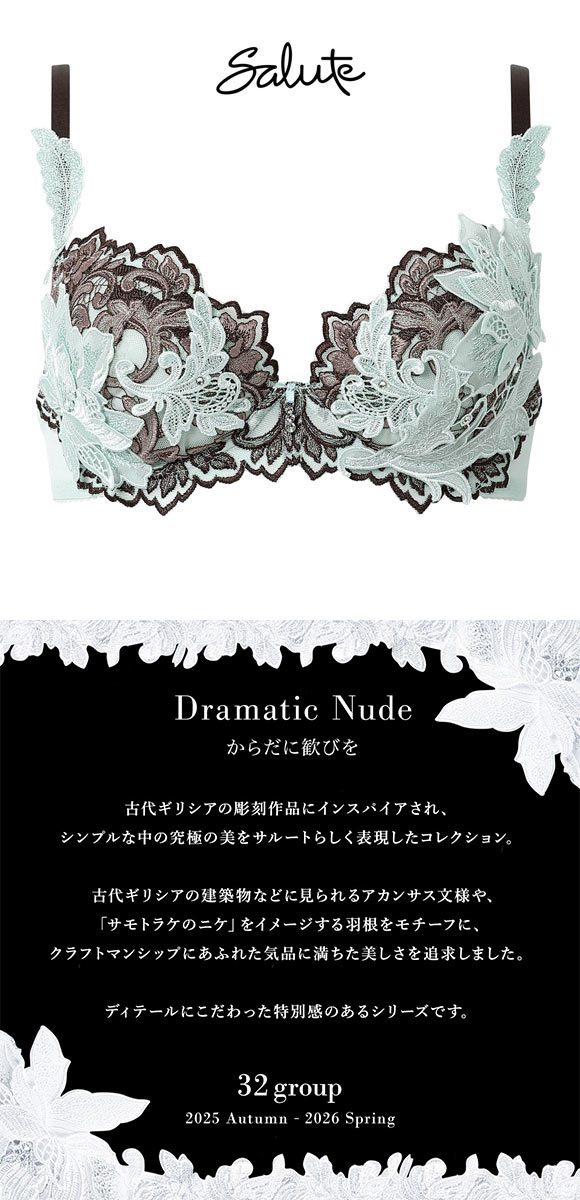 ワコール サルート 32グループ 32G P-UP ブラジャー DEF プッシュアップ Wacoal Salute BTJ432 26SS先行プレステージ