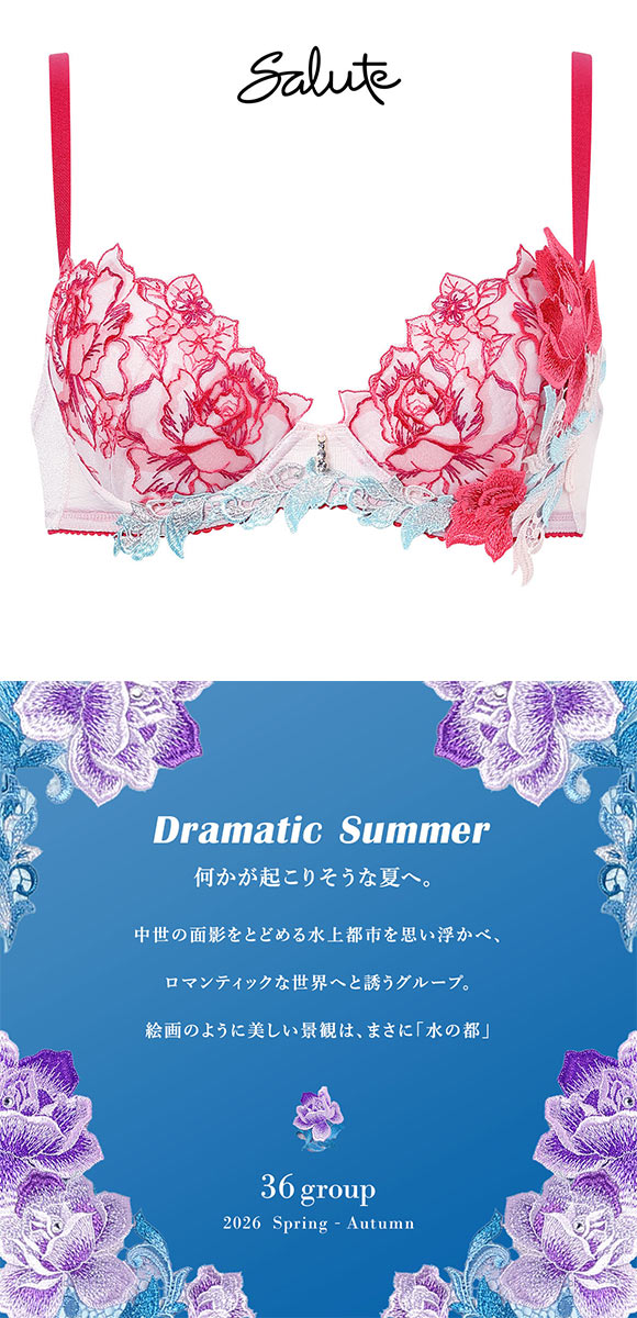ワコール サルート 36グループ 36G P-UP ブラジャー プッシュアップ DEF 大きいサイズ 谷間 Wacoal Salute BTJ436 26SSシーズン