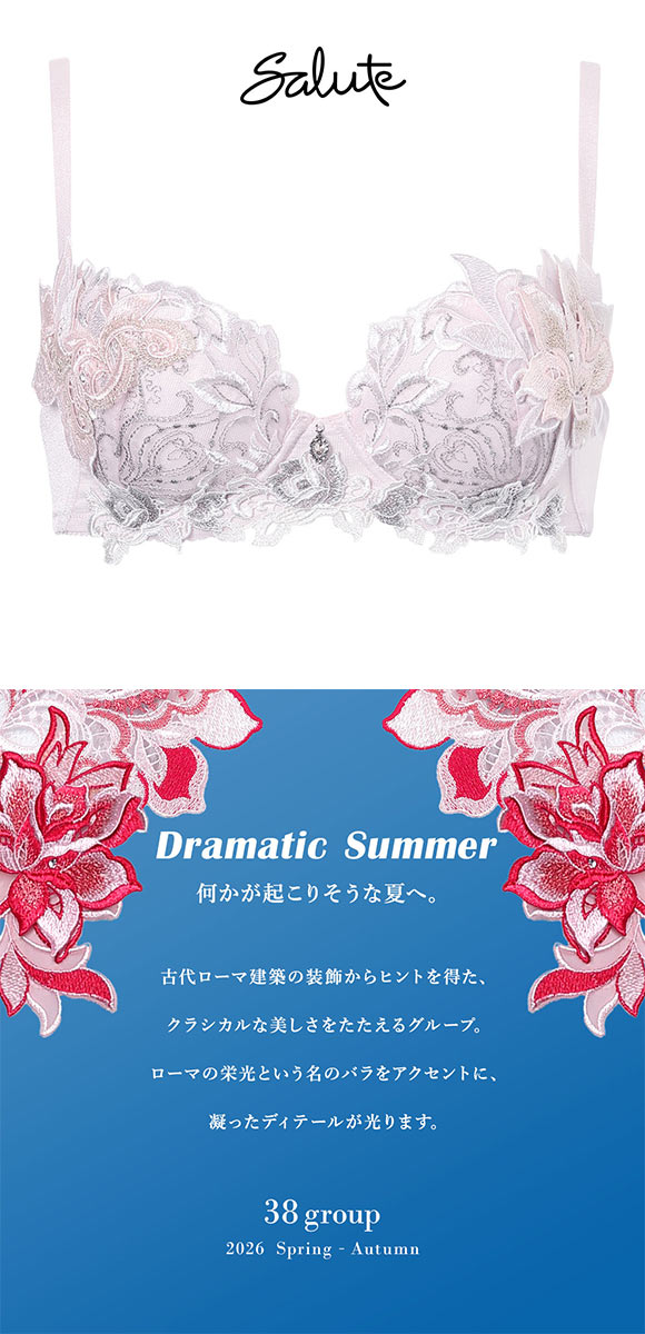ワコール サルート 38グループ 38G P-UP ブラジャー プッシュアップ ワコール サルート 38グループ 38G P-UP ブラジャー プッシュアップ