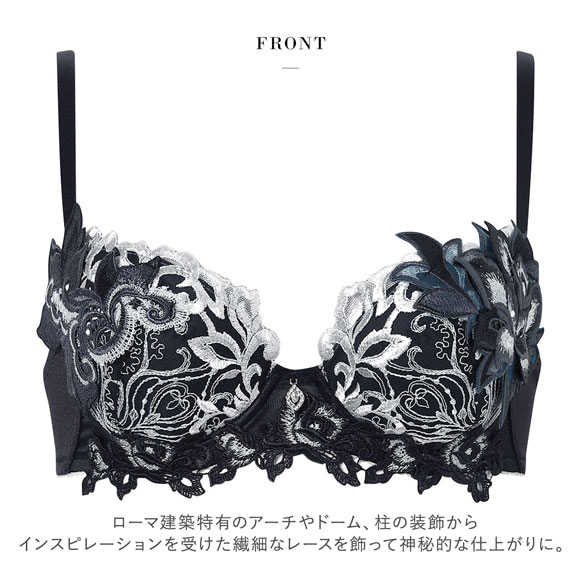 ワコール サルート 38グループ 38G P-UP ブラジャー プッシュアップ GHI 谷間 大きいサイズ Wacoal Salute BTJ438 26SSブライト