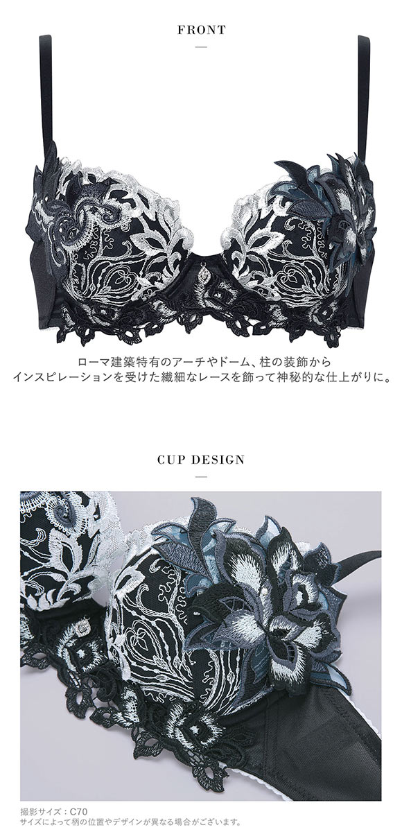 ワコール サルート 38グループ 38G P-UP ブラジャー プッシュアップ GHI 谷間 大きいサイズ Wacoal Salute BTJ438 26SSブライト