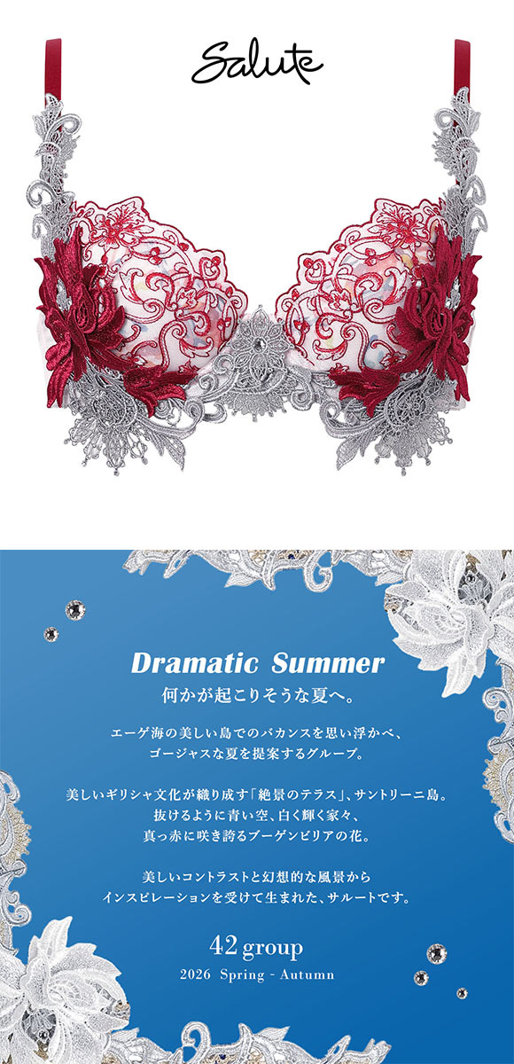 ワコール サルート 42グループ 42G P-UP ブラジャー C プッシュアップ 谷間 BTJ442 下着 Wacoal Salute 26AW先行プレステージ