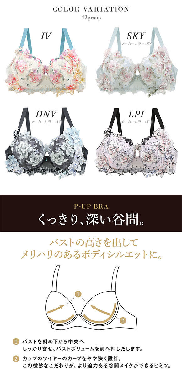 ワコール サルート 43グループ 43G P-UP ブラジャー GHI プッシュアップ 谷間 大きいサイズ BTJ443 下着 Wacoal Salute 26AWフェア