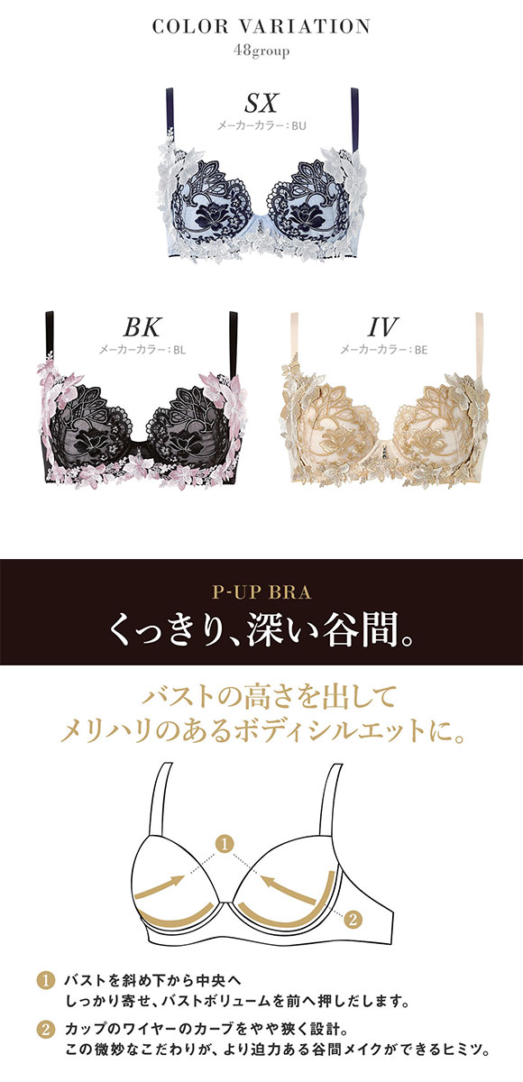 ワコール サルート 48グループ 48G P-UP ブラジャー プッシュアップ DEF 谷間 下着 大きいサイズ Wacoal Salute BTJ448 26AWブライト