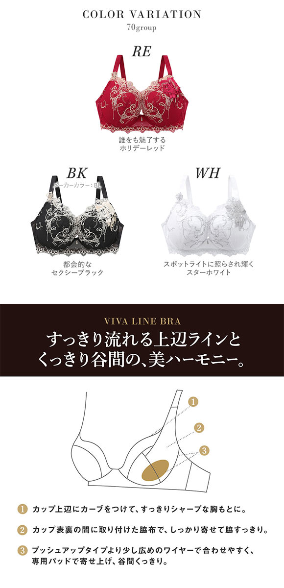 ワコール サルート 70グループ 70G VIVA LINE ブラジャー G ビバライン 谷間 Wacoal Salute BTJ470 24AWブルーム