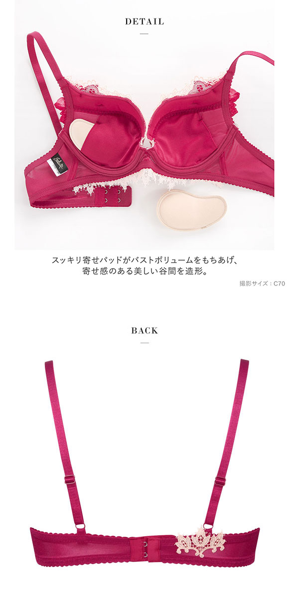 サルート　40周年　84G ビバライン　D65ソング　M RP サルート40周年84G ビバラインD65 ソングM RP