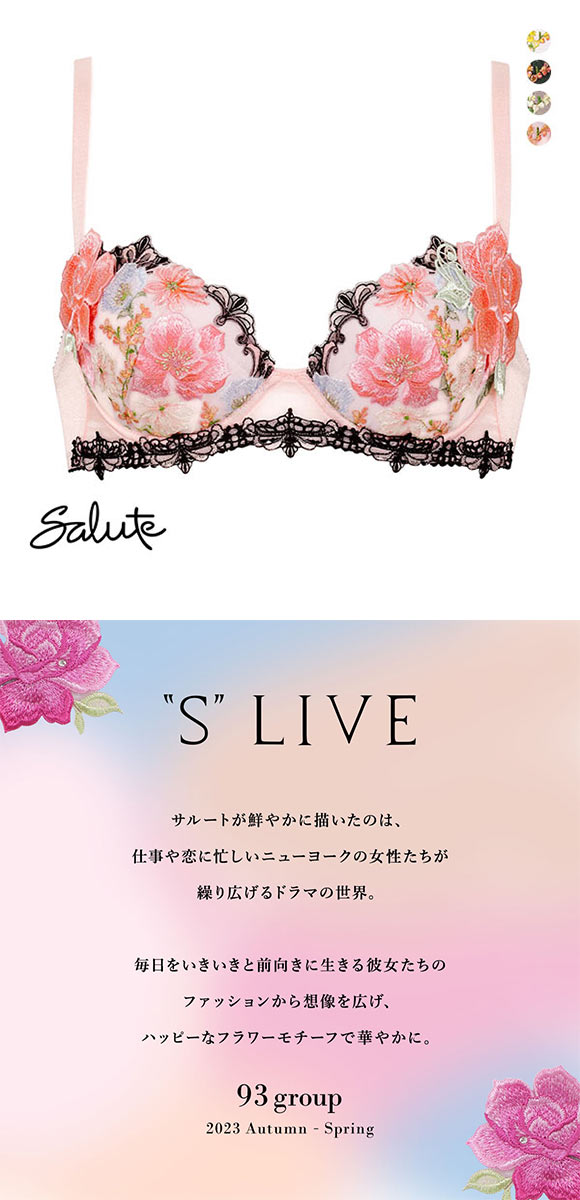 ワコール Wacoal サルート Salute 23AW 93G BTJ493 P-UP ブラジャー GHI プッシュアップ 単品 谷間 フェア