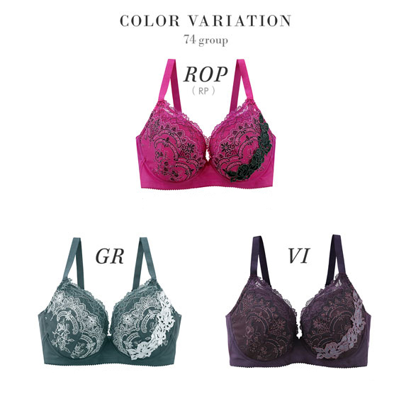 ワコール Wacoal サルート Salute 22AWコフレ 74G BTJ474 BTJ774 小さく見せるブラ GH ブラジャー 4/5カップ 単品