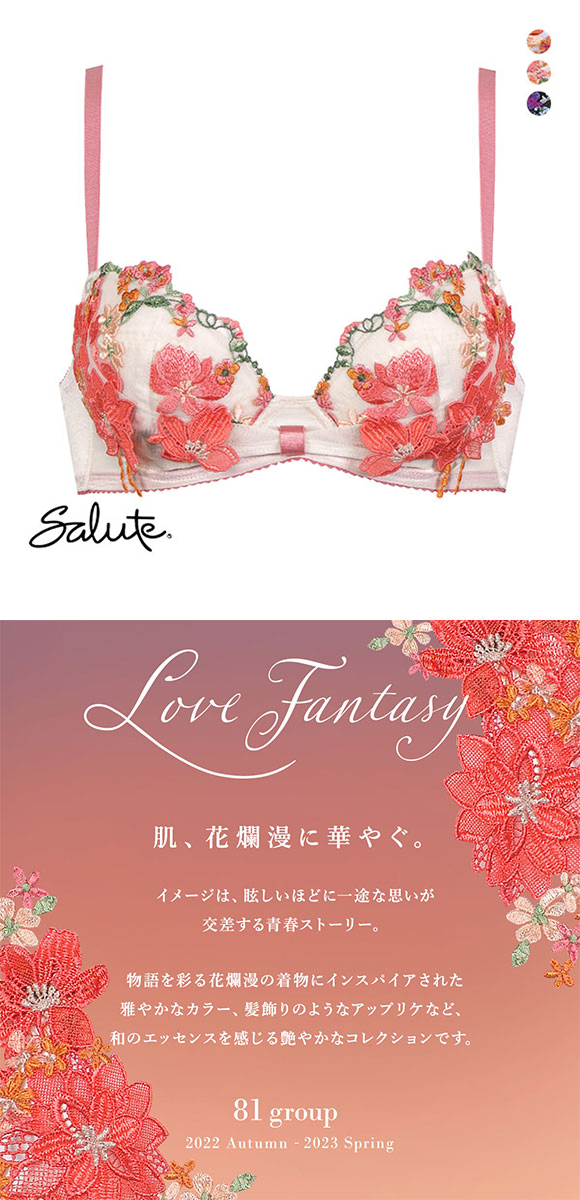 ワコール Wacoal サルート Salute 23SS先行コア 81G BTJ481 BTJ781 リボンブラ ブラジャー C 単品