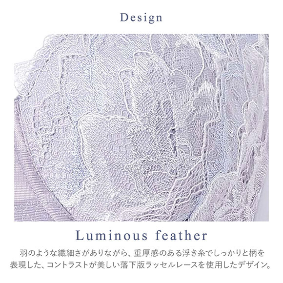 ワコール ハグするブラ コンパクトメイク BXB318 BXB418 フルカップ ブラジャー GH 大きいサイズ グラマー Wacoal