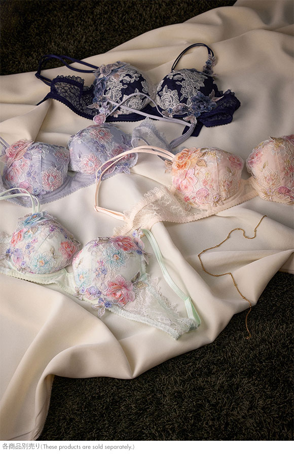 ワコール プレミアム 22series BXD022 22G クイーンサイズ 3/4カップ